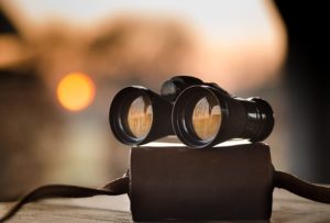 Thermal Imaging Night Vision Binoculars Hunting