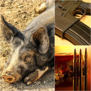 Hog Hunting Gear Products